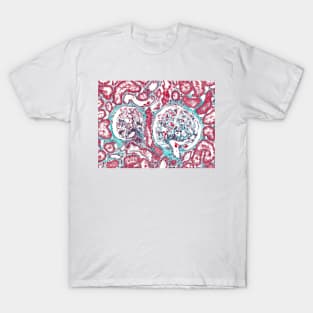 Renal corpuscle, light micrograph (C023/9431) T-Shirt